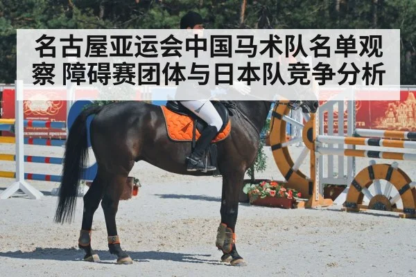 horse riding competition arena